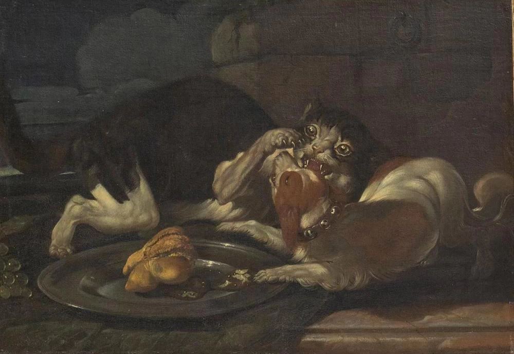 Gatto e cane lottano per il cibo